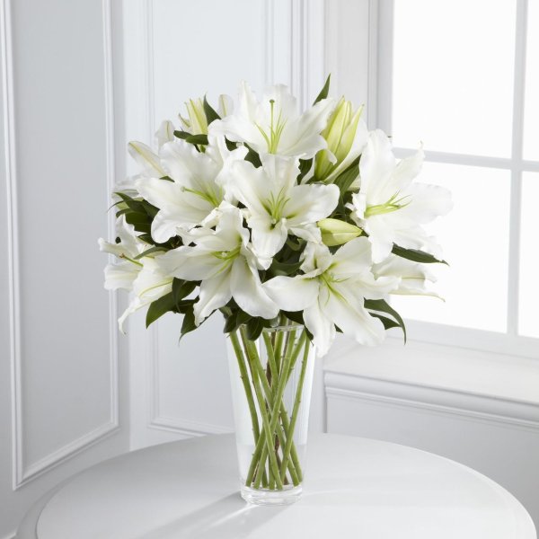 лилия уайт браш