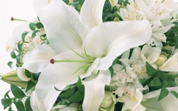 лилия май веддинг