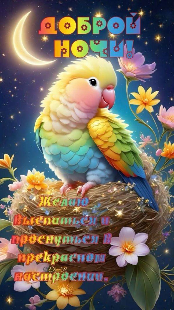 птица красивая