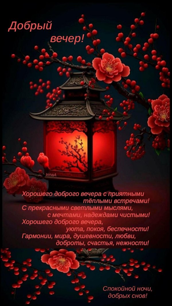 добр вечер