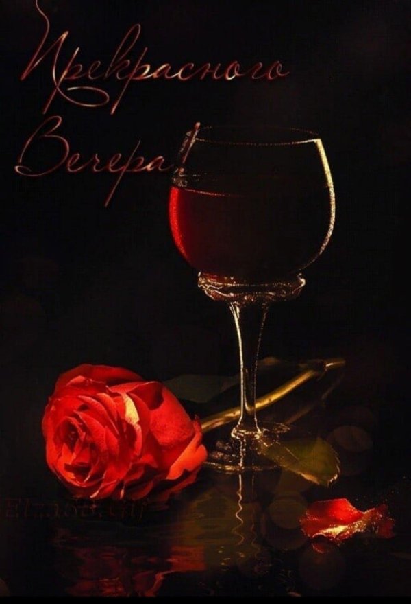 прекрасно вечера