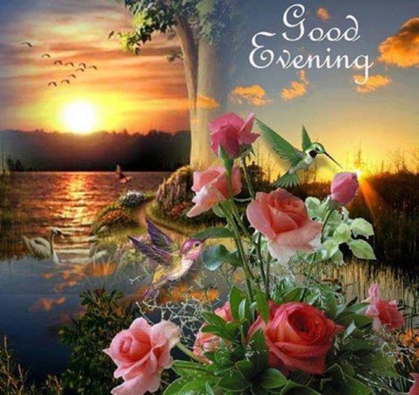 летнего вечера