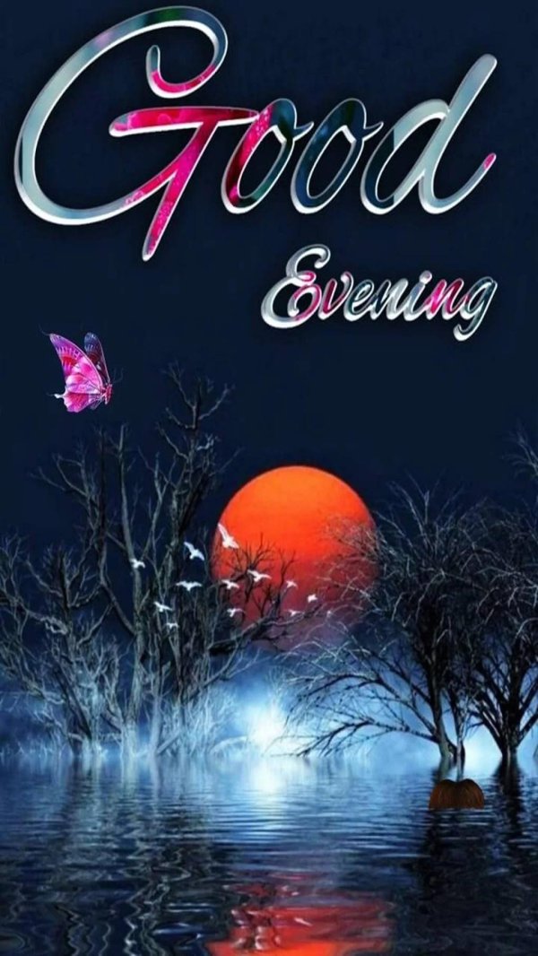 добрая ночь