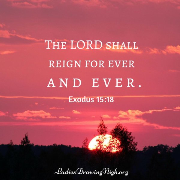 розовые закаты