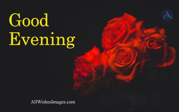 добрый вечер на английском языке