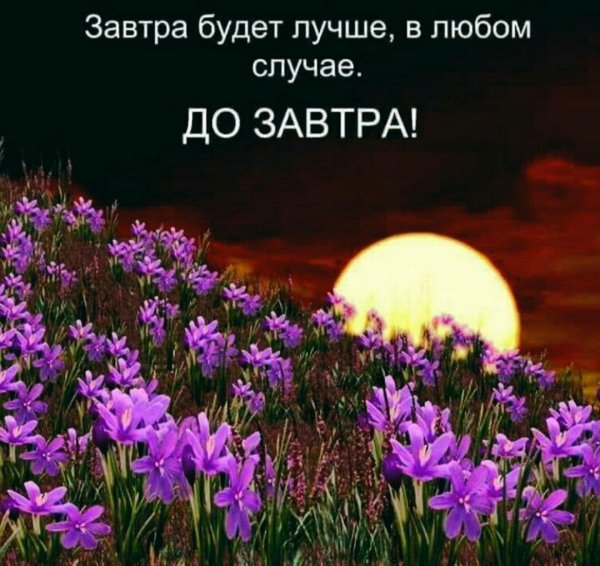 доброй весенней ночи