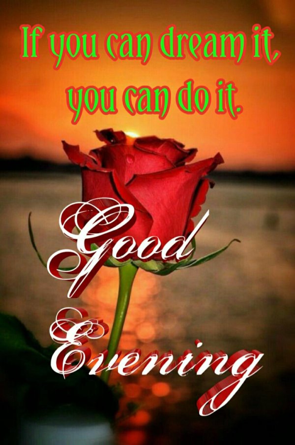 одинокая роза