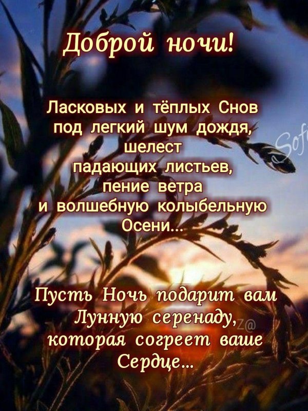 чудесной ночи автор елега