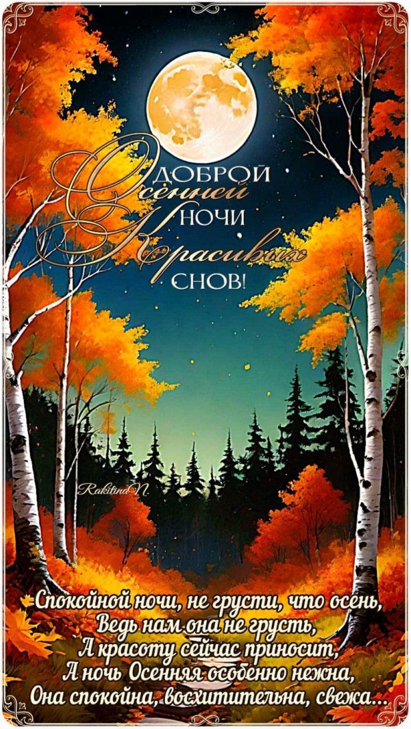 осенней ночи