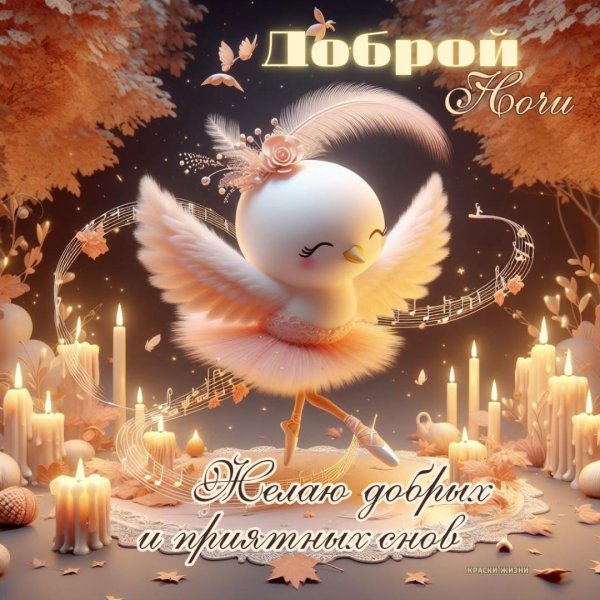 добрая ночь