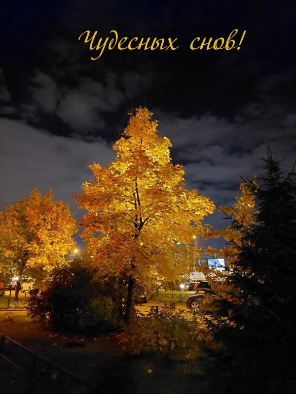 Осенние доброй ночи