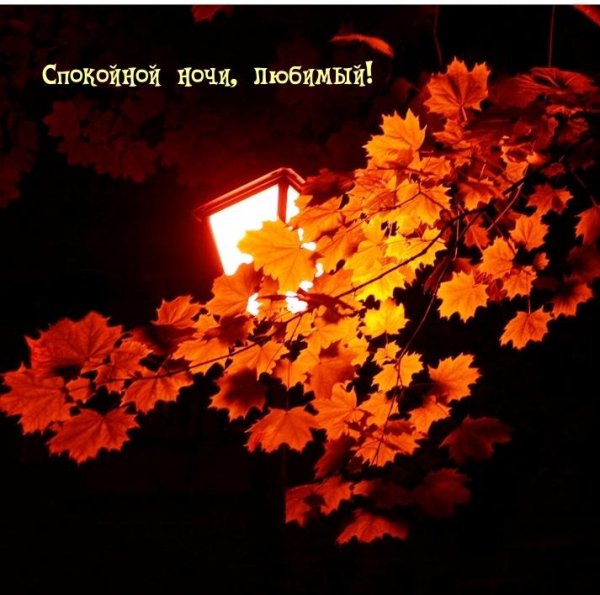 осенней ночи