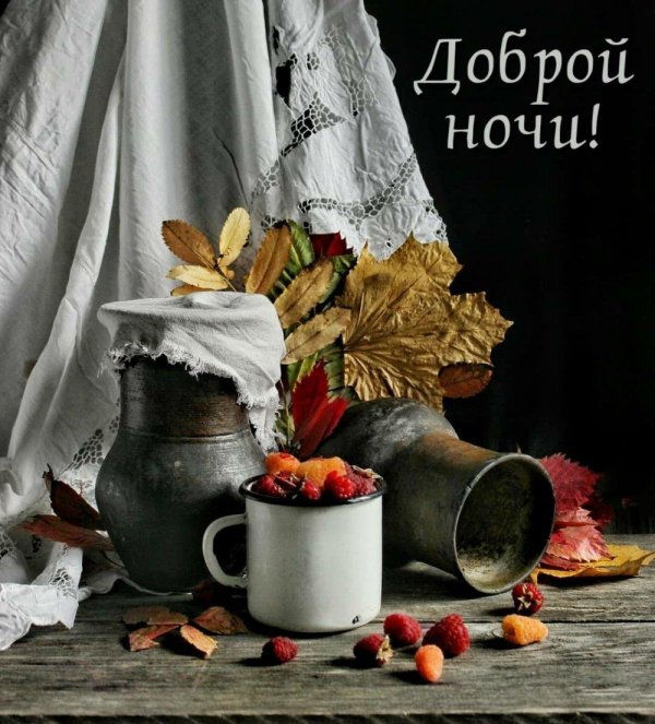 доброй ночи осени