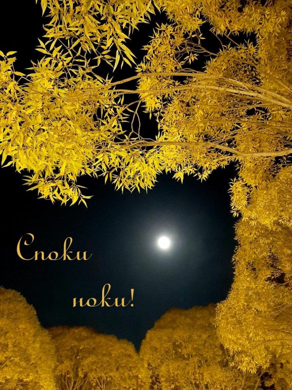 сладких осенних снов