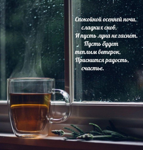 осенняя ночь стихи