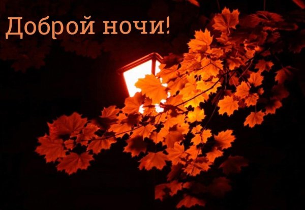 доброй ночи осени