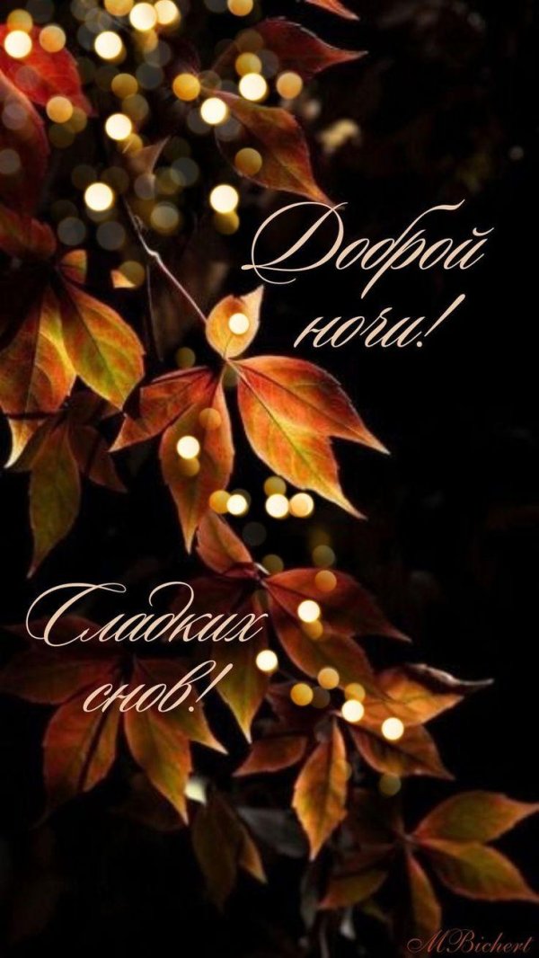 доброй ночи осени