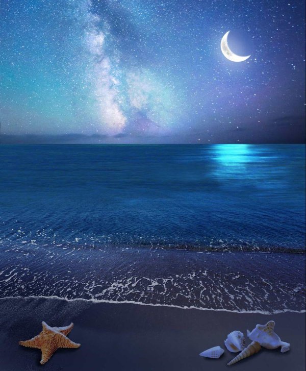 лунная ночь