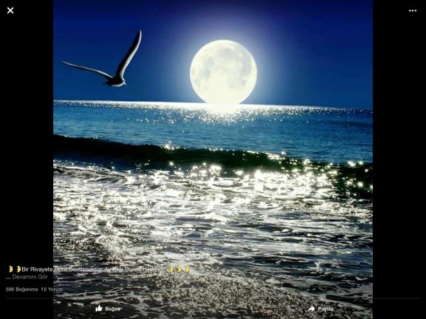 луна над морем