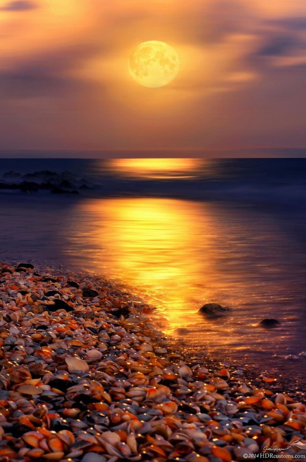 Доброй ночи море