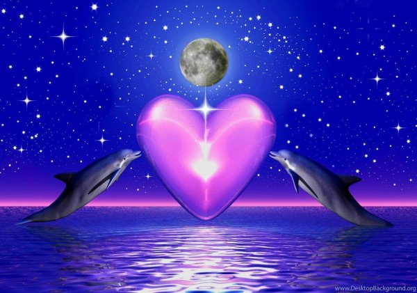 пара дельфинов