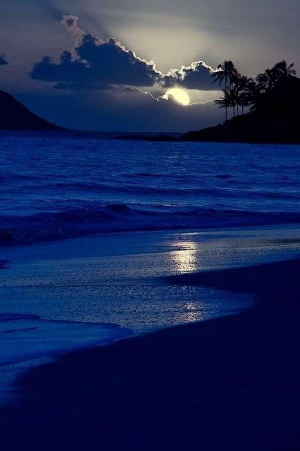 ночь на пляже