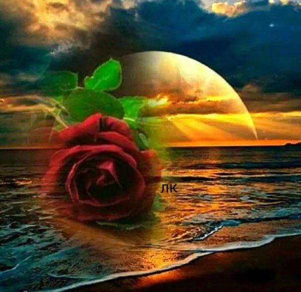 спокойной ночи родной