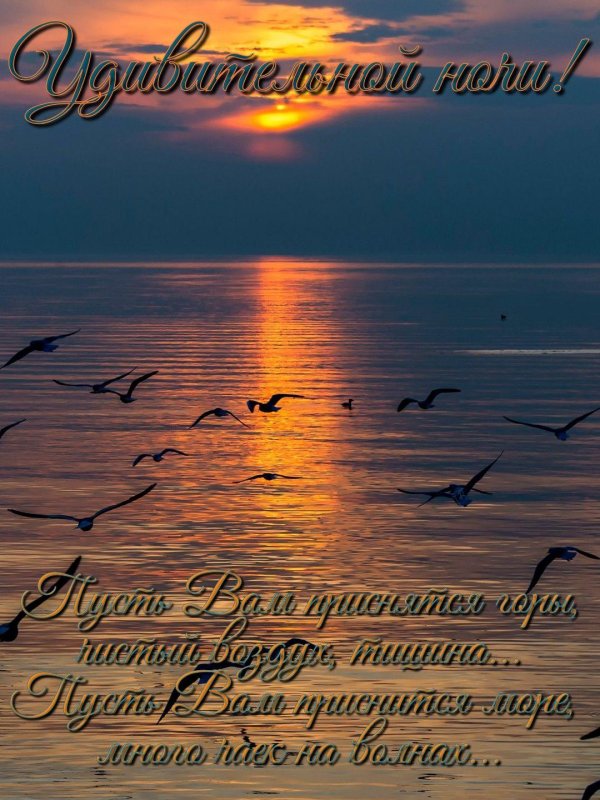 птица над морем