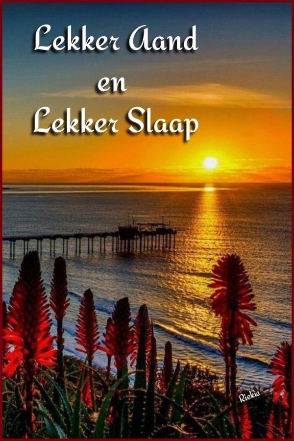 пейзажи с морем