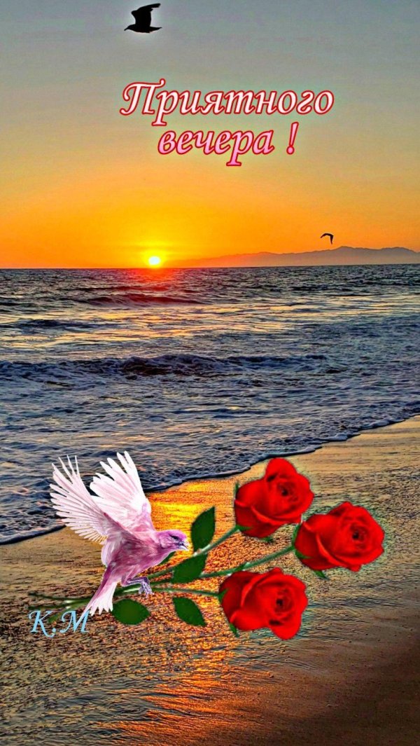 красивые поздравления с добрым вечером