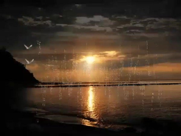 красивый вечерний закат