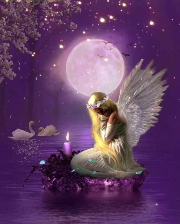 феи красивые