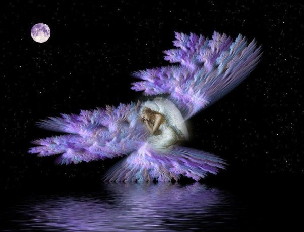 сказочная ночь