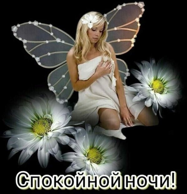 открытка спокойной ночи женщине красивая