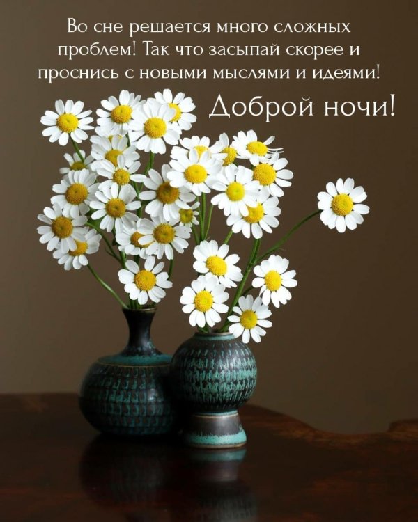 букет ромашек