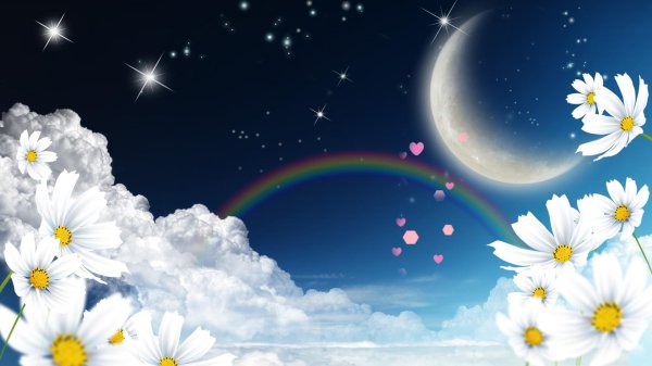 лунная ромашка