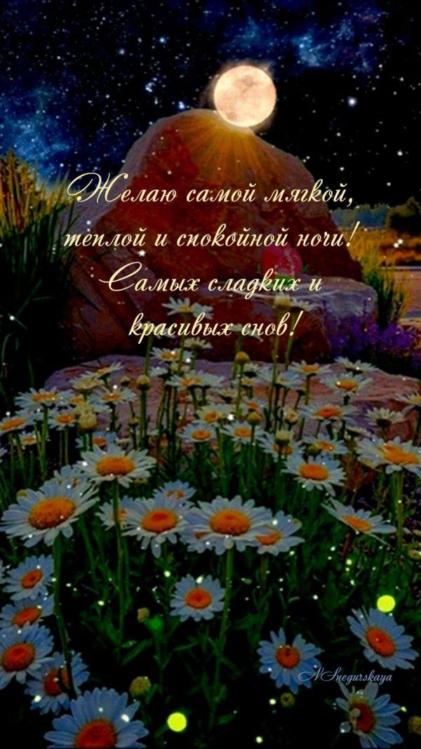 спокойной ночи лета