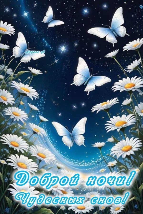 добрая ночь