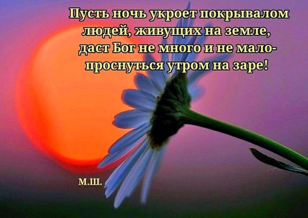 цветы на фоне солнца