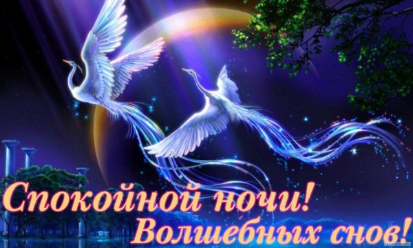 спокойной волшебной ночи