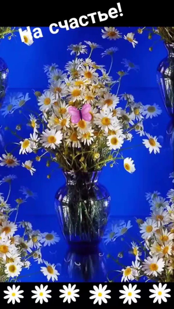 букет цветов полевые