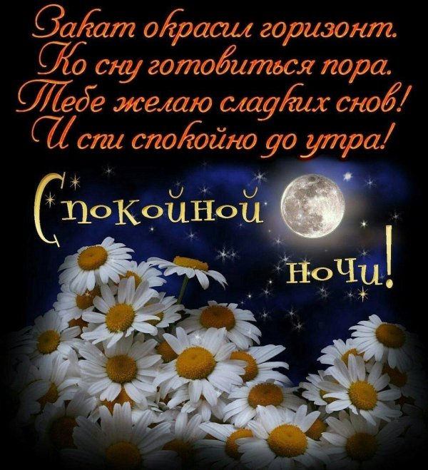 сладких снов ромашки