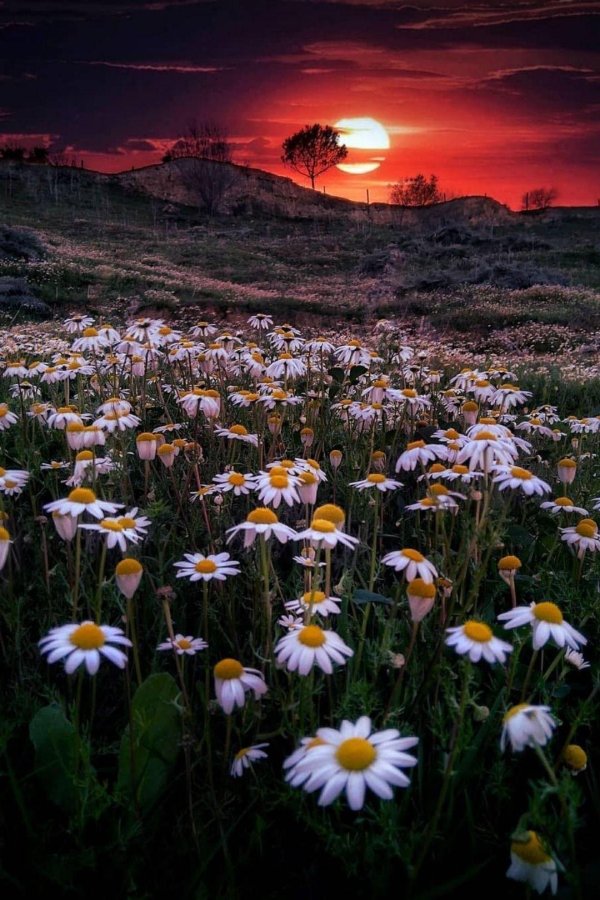 красота природа