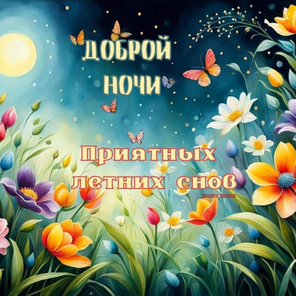 приятных летних снов