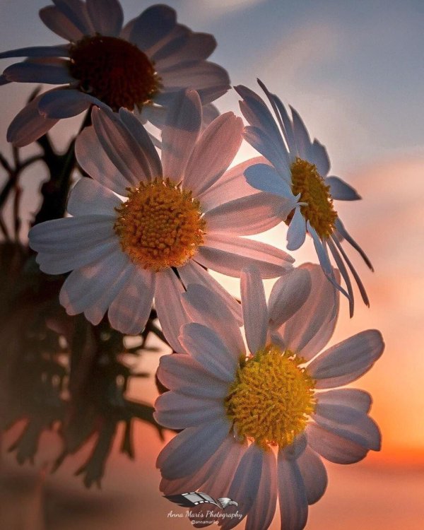 для счастья