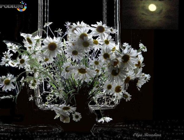 букет ромашек