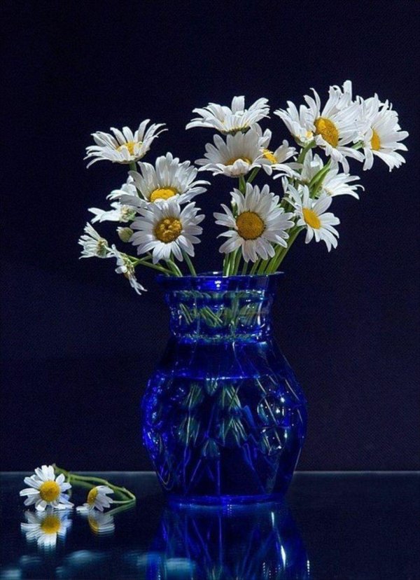 ромашка в вазе