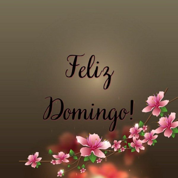 feliz domingo