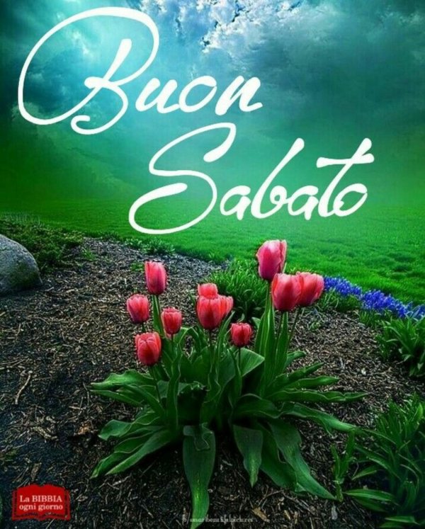 буон сабато