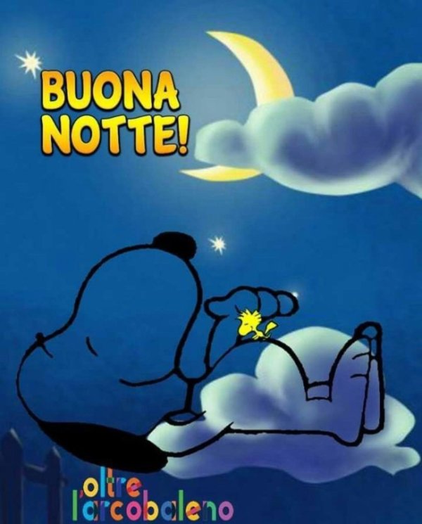 buona notte